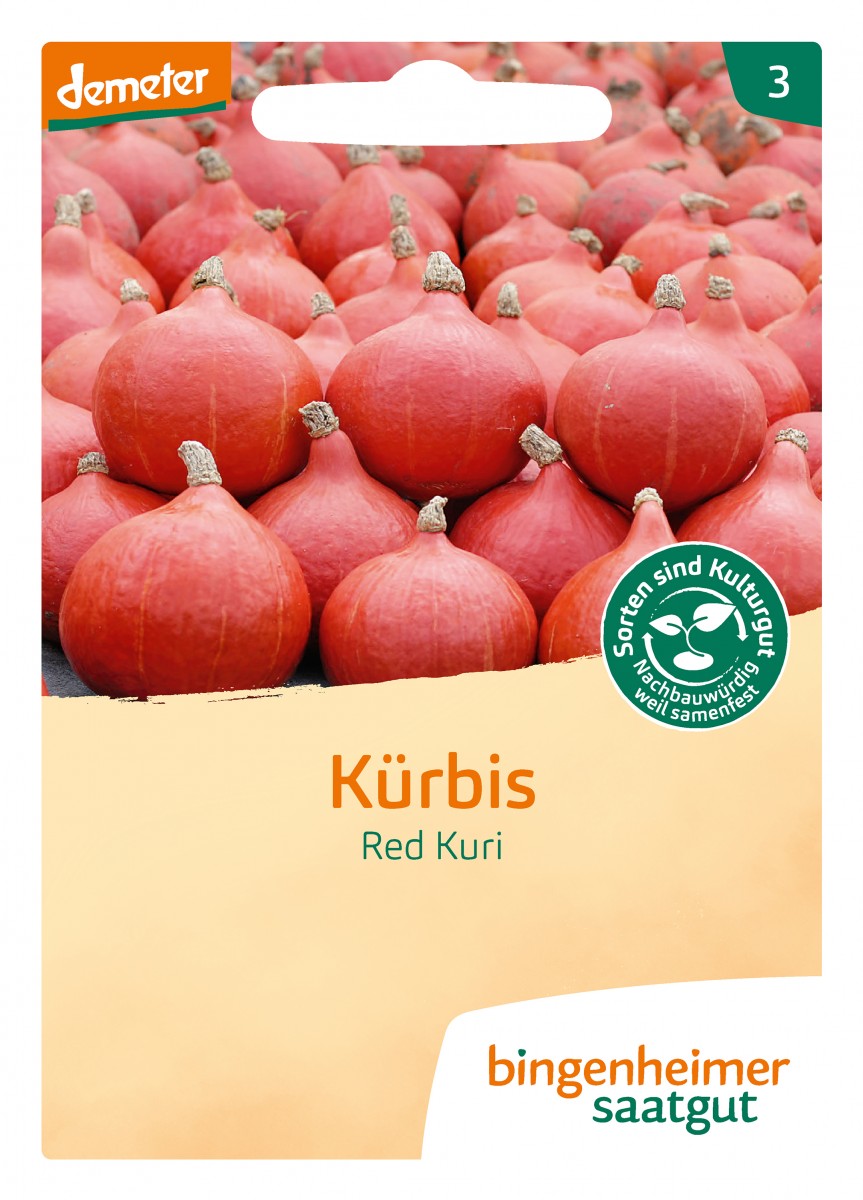 Bingenheimer Saatgut Kürbis Hokkaido Red Kuri Bingenheimer Saatgut Kürbis Hokkaido Red Kuri
