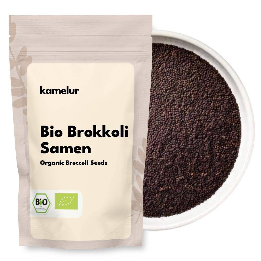 Graines de brocoli bio