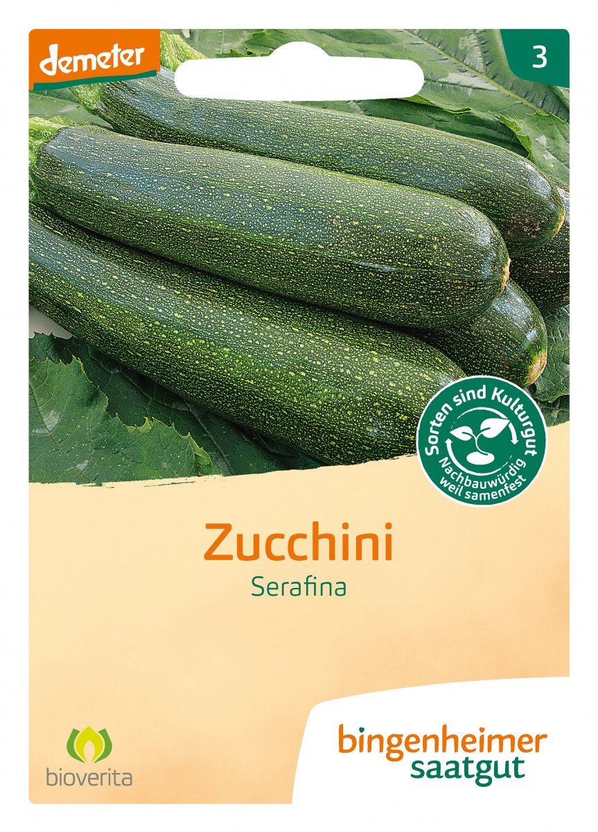 Bingenheimer Saatgut Zucchini Serafina