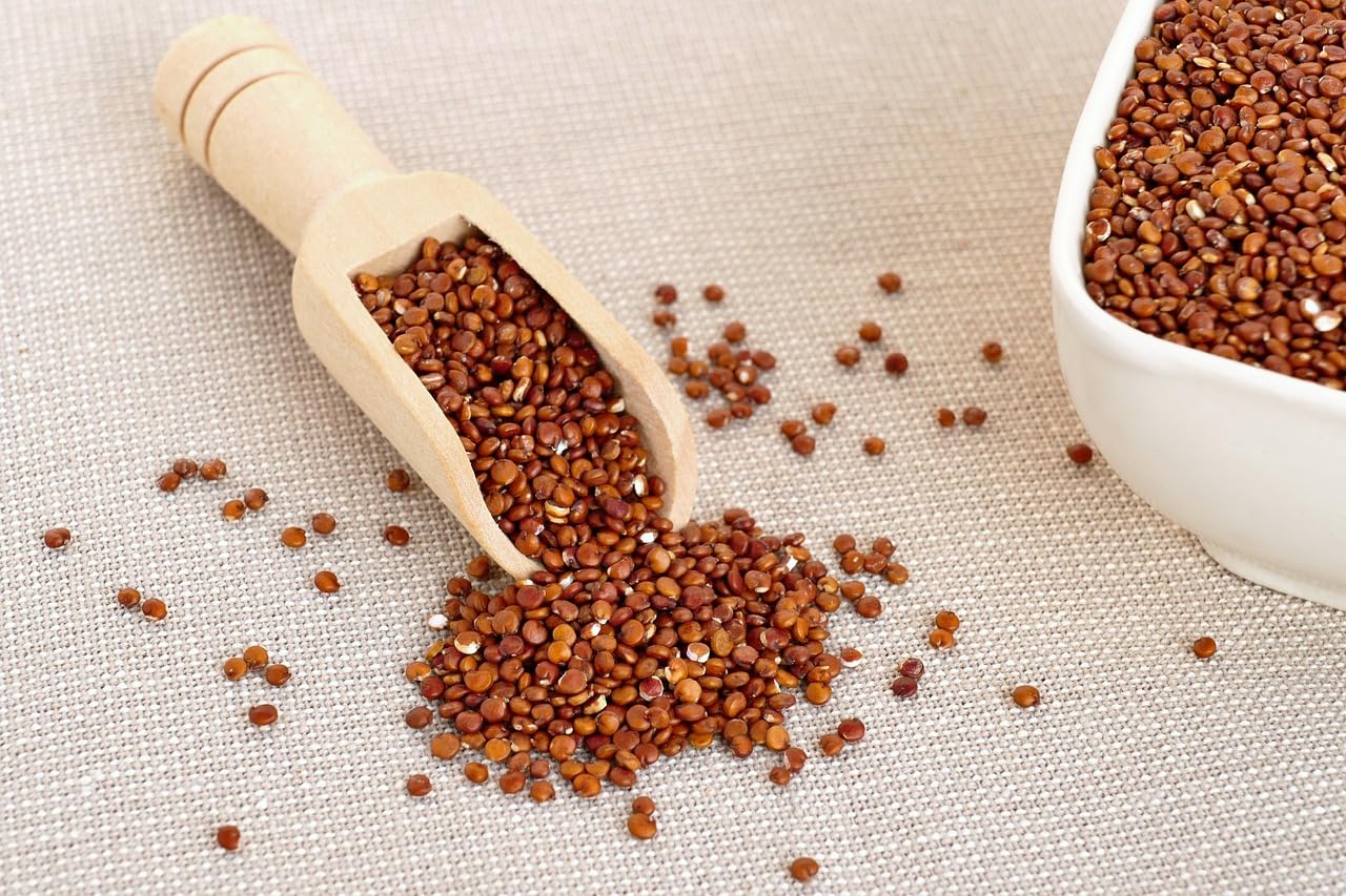 Quinoa rouge bio 25kg