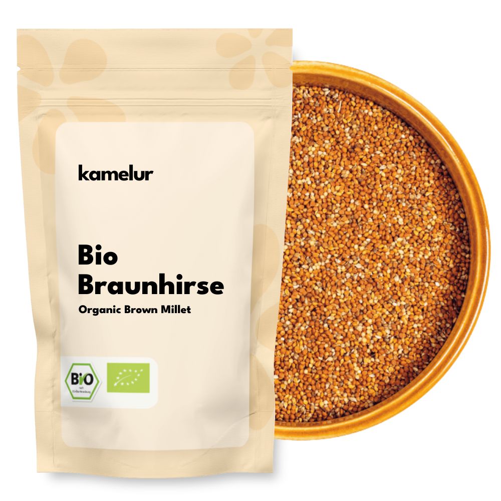 Millet brun bio