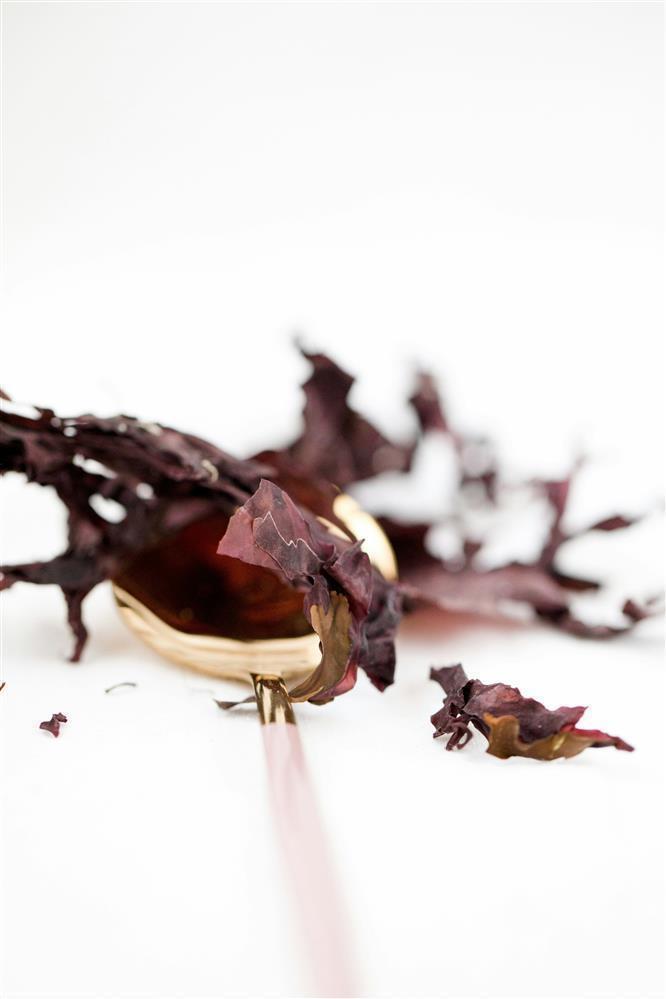 Poudre de dulse biologique 100 g