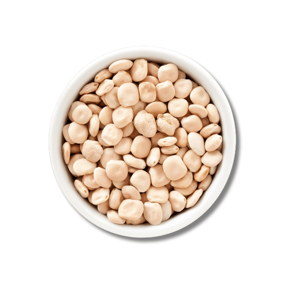 Lupins bio, blanc