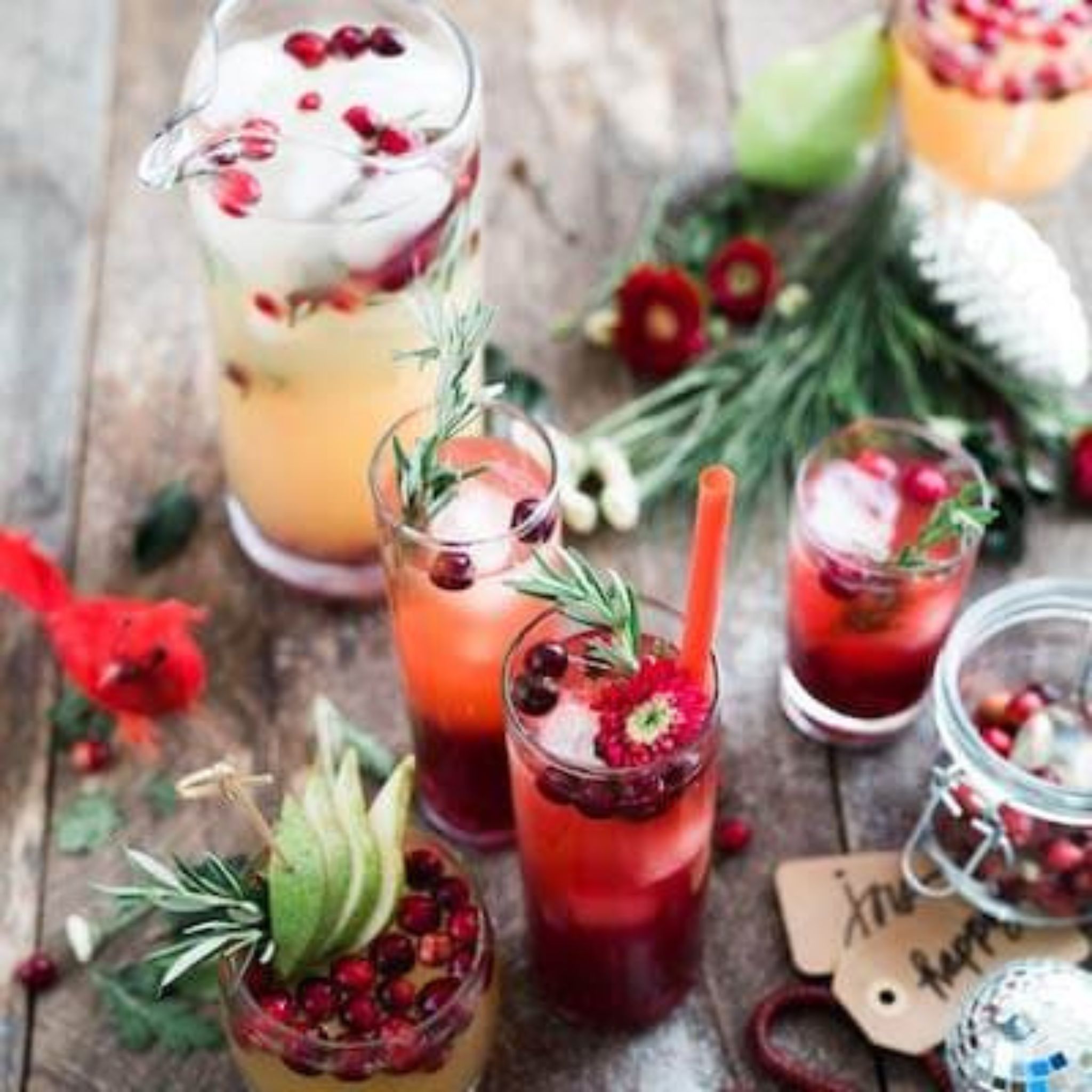 Canneberge bio, lyophilisée, fruit entier 250g