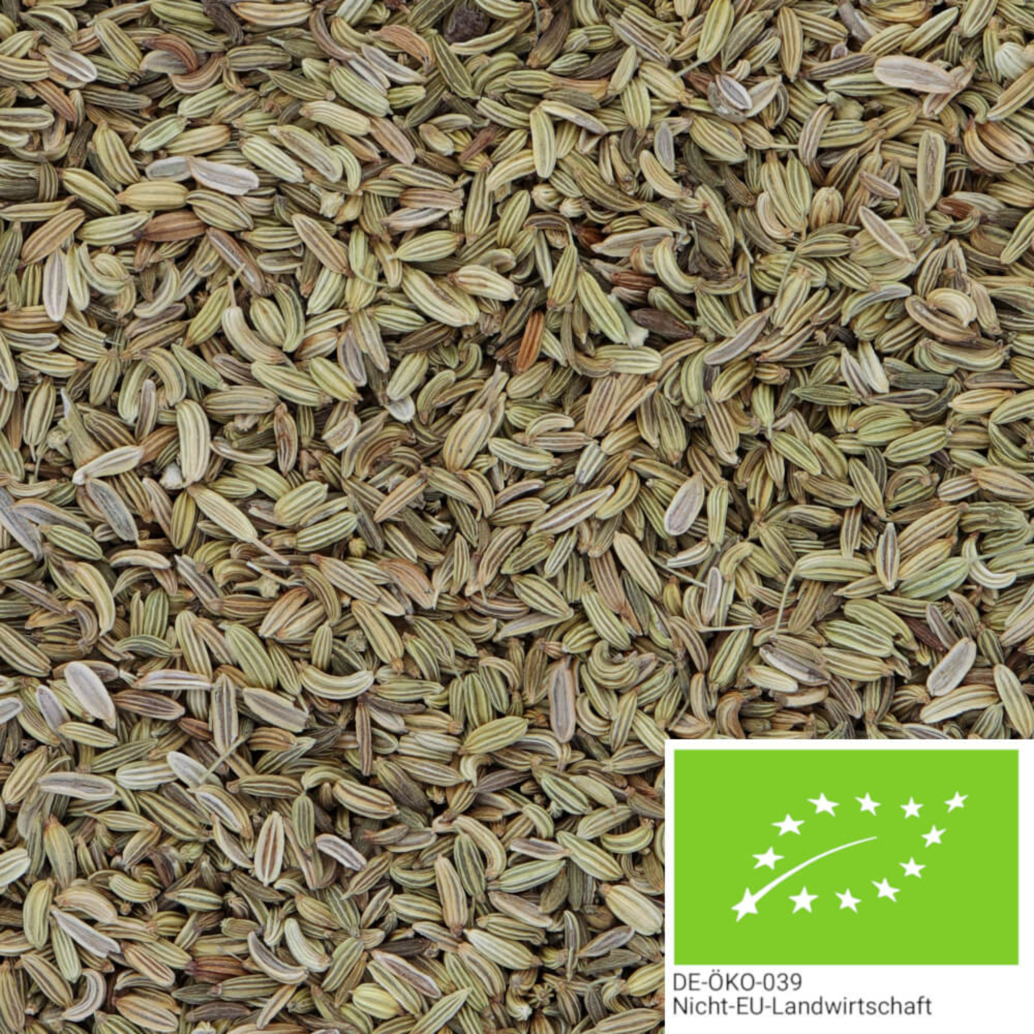 Graines de fenouil bio entières 500g
