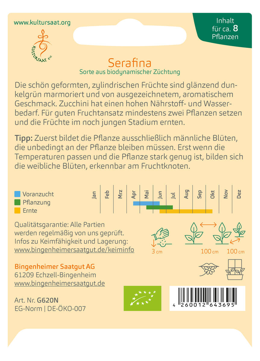 Bingenheimer Saatgut Zucchini Serafina