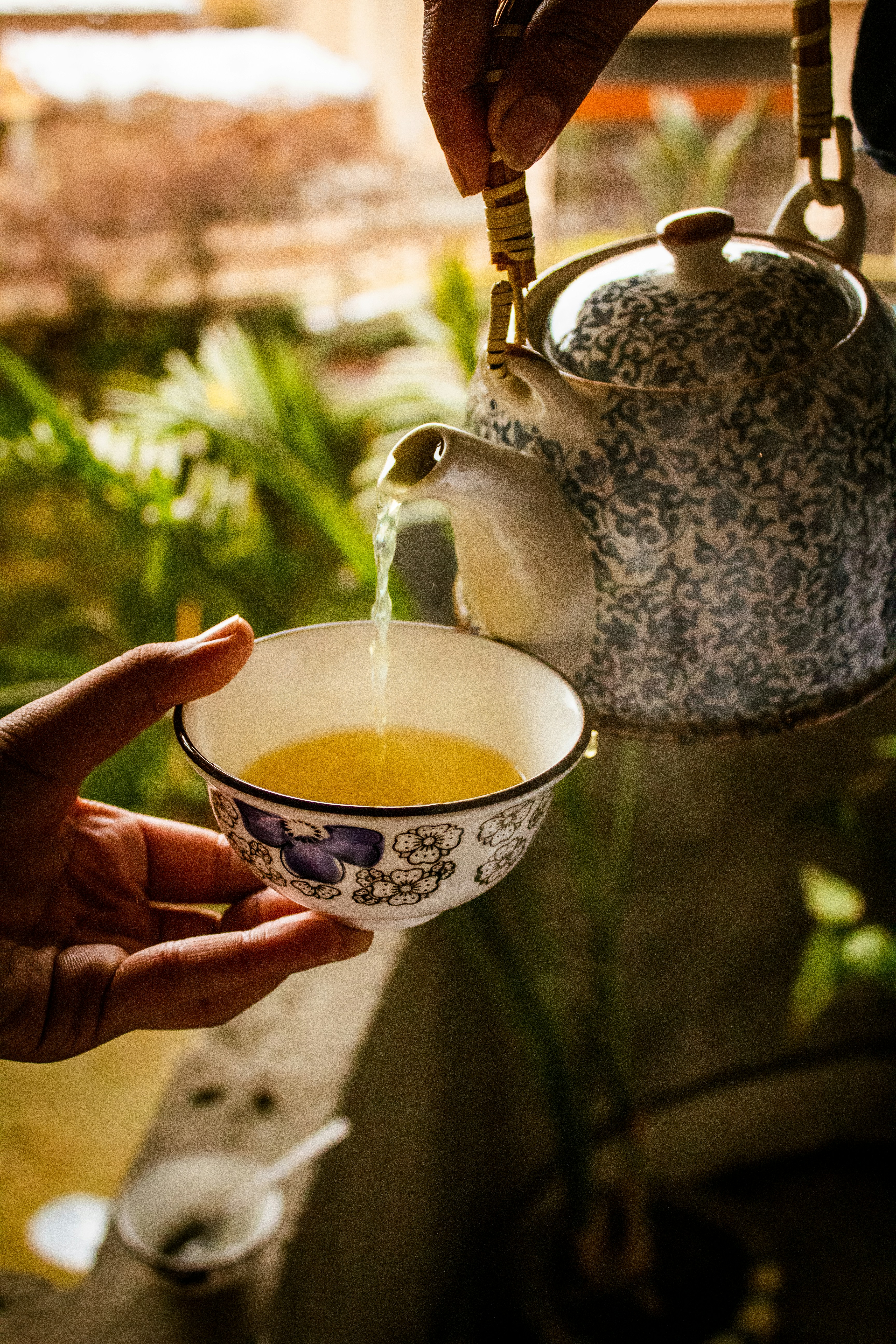 Tè verde Sencha Bio 200g