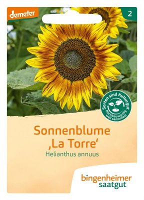 Bingenheimer Saatgut Sonnenblume