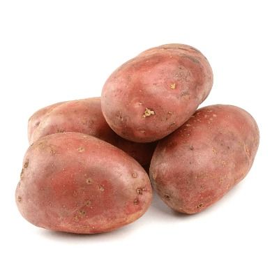 Bio Kartoffel Laura rot vorwiegend festkochend BIO