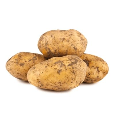 Bio Kartoffel Nicola festkochend BIO