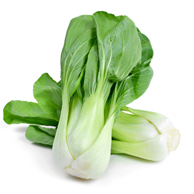 Bio Pak Choi - frisches Gemüse bei Kamelur kaufen