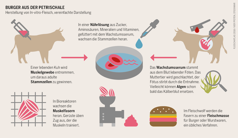 Grafik_Laborfleisch